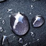 Profile Picture of Chase Herring (@itzachase) on Instagram