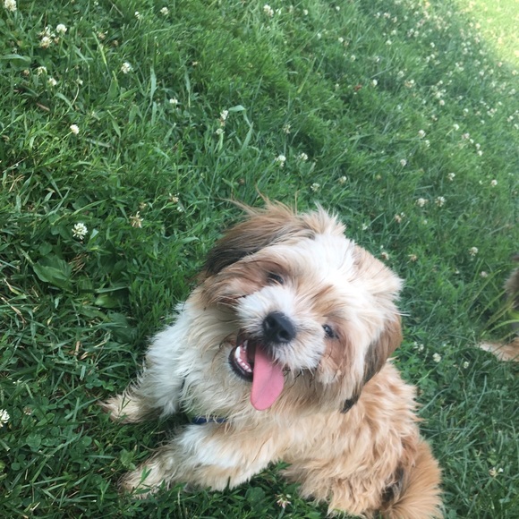 Profile Picture of Hannia Barrales (@_hanniabarrales) on Poshmark