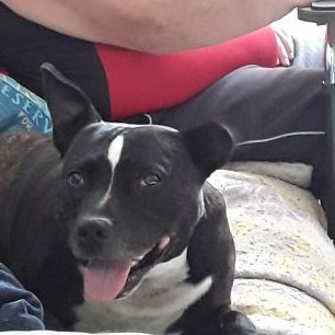 Profile Picture of David Pengelly (@Davidpengelly9) on Twitter