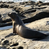 Profile Picture of Tim Seals (@tim-seals-8) on Quora
