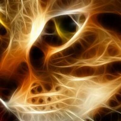 Profile Picture of Bob Moore (@Saintterrapin) on Twitter