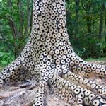 Profile Picture of Stuart Ian Frost (@stuartianfrost) on Instagram