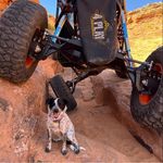 Profile Picture of Bryan Marlow (@marlowbryan) on Instagram