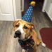 Profile Picture of Baxter Brown (@baxter.brown.792) on Facebook