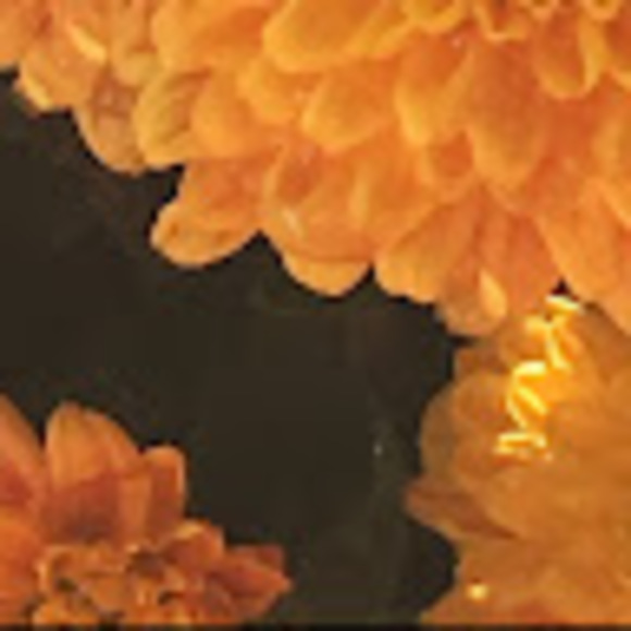 Profile Picture of Claudia Calby (@cla_c122) on Poshmark