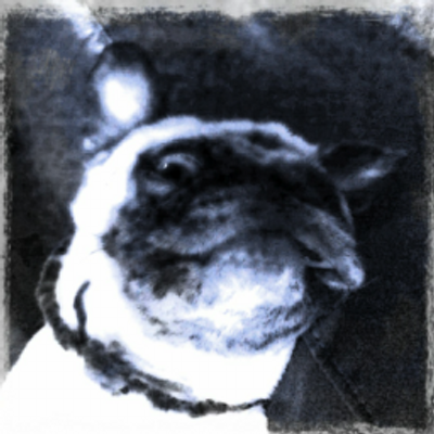 Profile Picture of Slayer9020 (@QuentinRayRobin) on Twitter