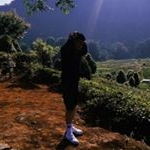 Profile Picture of bryanhandawy (@bryanhandawy) on Instagram