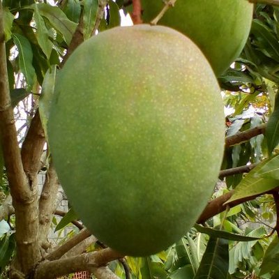 Profile Picture of Gamma Ray Power (@ths62) on Twitter