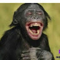 Profile Picture of Sergio Del Mar (@sergio-del-mar-2) on Quora