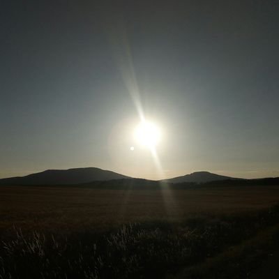 Profile Picture of Michael Schreyer (@MichaelSchreye2) on Twitter