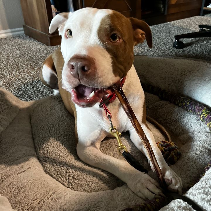 Profile Picture of JoshuaMark_ (@joshuamark_) on Tiktok