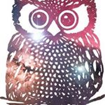Profile Picture of Naudia Iwanyckyj (@animaluver85) on Instagram