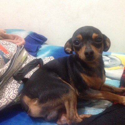 Profile Picture of Pablo Chavarria (@khonsumedallo) on Twitter