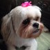 Profile Picture of Janice Marcelonis (@Patches1937) on Twitter