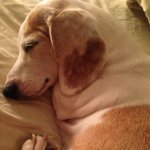 Profile Picture of cindy craven (@cindycraven) on Instagram