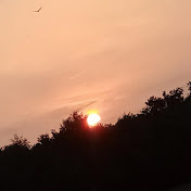 Profile Picture of Jason Gavin (@jasongavin7460) on Youtube