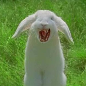 Profile Picture of Julia Nemecek (@schwarzenachtmusik) on Myspace