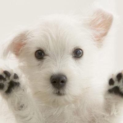 Profile Picture of Kitten Cole (@cole_keely) on Twitter