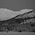 Profile Picture of Zach Miller (@ztmiller) on Flickr