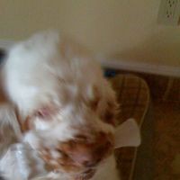 Profile Picture of Ralph Holly (@ralph-holly-1) on Quora