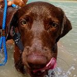 Profile Picture of Tony José (@tonyjose.g) on Instagram