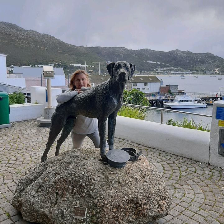 Profile Picture of moiramahon (@moiramahon) on Tiktok