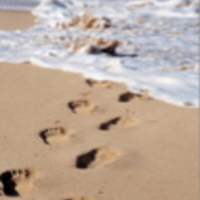 Profile Picture of James O. Coplien (@ScrumTide) on Twitter