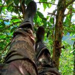 Profile Picture of Marlon Triana (@Marlon-Triana) on Facebook