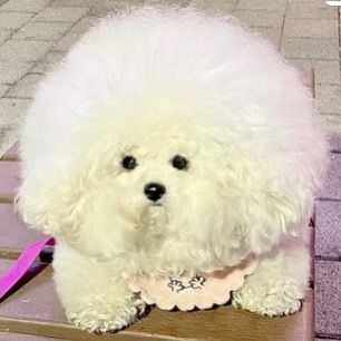 Profile Picture of Michael Pietrzyk (@michael.mzp) on Tiktok