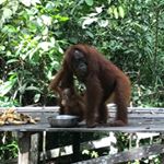 Profile Picture of Daniel Massett (@sfx_dan) on Instagram