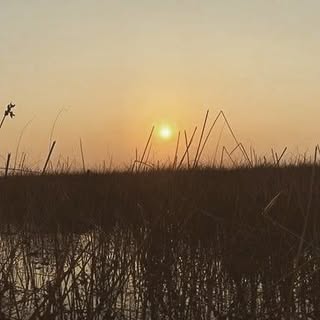 Profile Picture of nick_patel (@nick_patel) on Instagram