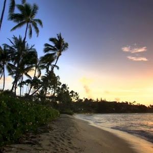 Profile Picture of Dawn Larsen (@dawn.larsen) on Tiktok