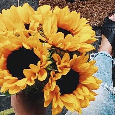 Profile Picture of Lynn B (@LynnBray) on Twitter