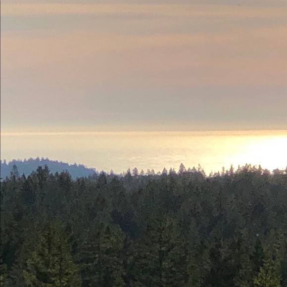 Profile Picture of Pattio Beesler (@pattiob) on Poshmark