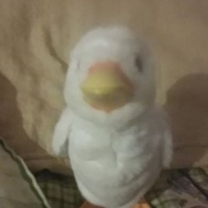 Profile Picture of Sarah Hackman (@Annie158595) on Twitter