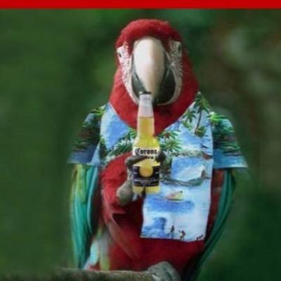 Profile Picture of Carl Owen (@tider85) on Twitter