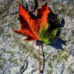 Profile Picture of Dustin Guenther (@d.d.guenther) on Instagram