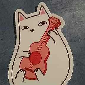 Profile Picture of Michelle Needham (@KansasMichelle) on Twitter