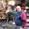 Profile Picture of Bob MacEachran (@bobmaceachran) on Tiktok