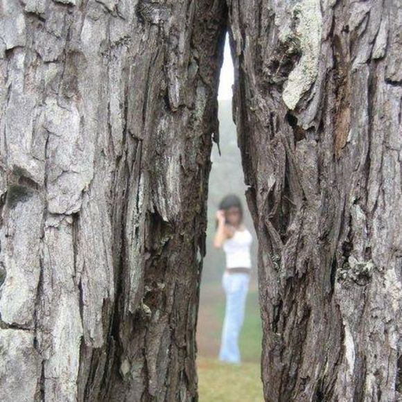 Profile Picture of Trish Calamayan (@trical03) on Poshmark