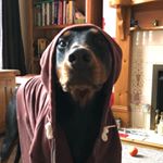 Profile Picture of Jason Eccles (@jason.eccles1) on Instagram