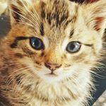 Profile Picture of Nicholas Caswell (@nicholas.caswell.549) on Instagram