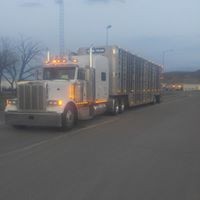 Noel Brewer - Quora Profile Picture of Noel Brewer (@noel-brewer-2) on Quora