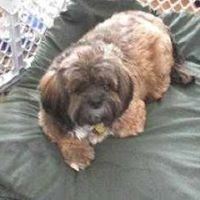 Profile Picture of Veronica Toma (@veronica-toma-1) on Quora