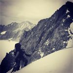 Profile Picture of Alexander Medov (@samuel_loog) on Instagram