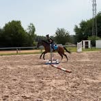 Profile Picture of Tara Dollinger (@Tara-Dollinger) on Facebook