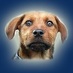 Profile Picture of Dogs Against Romney (@Grrr_Romney) on Twitter
