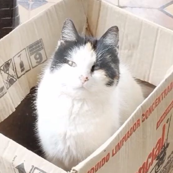 Profile Picture of Paul Montemayor (@paulmont70) on Tiktok