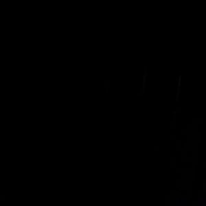 Profile Picture of Corey Daley (@daley_corey) on Twitter