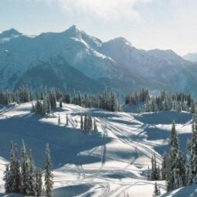 Profile Picture of Amy Krebs (@MsAKrebs) on Twitter